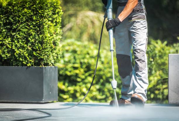 Best Driveway Pressure Washing  in Bloomington, TX