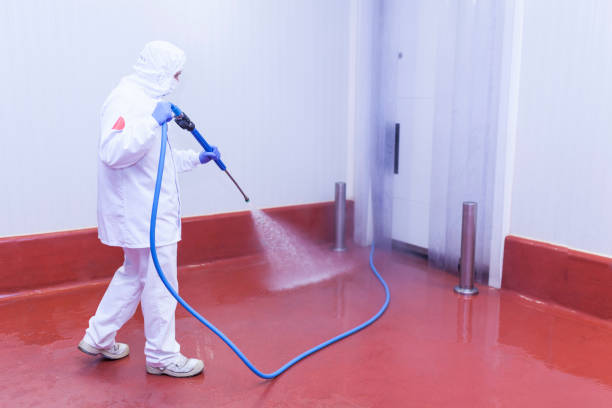 Best Oil Spill Cleanup  in Bloomington, TX